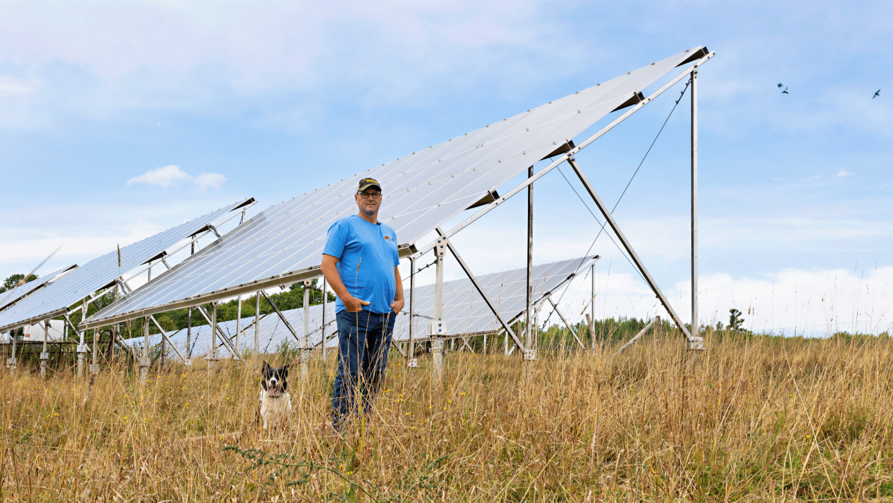Man in a blue shirts stands with his dog in front of several solar panels on top of a grassy hill.