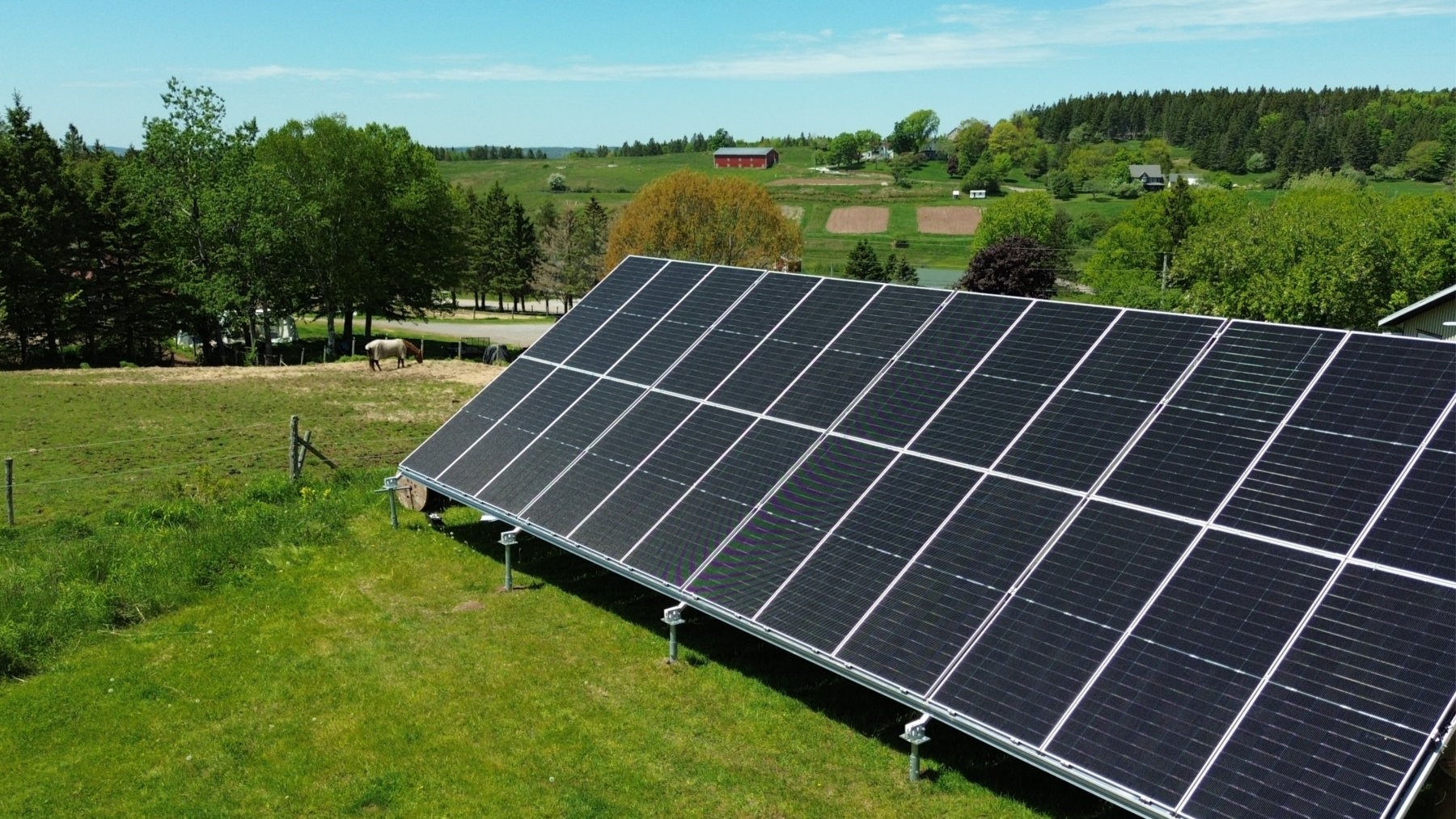 Ground-mounted solar panels on a farm, with a horse grazing in the background.